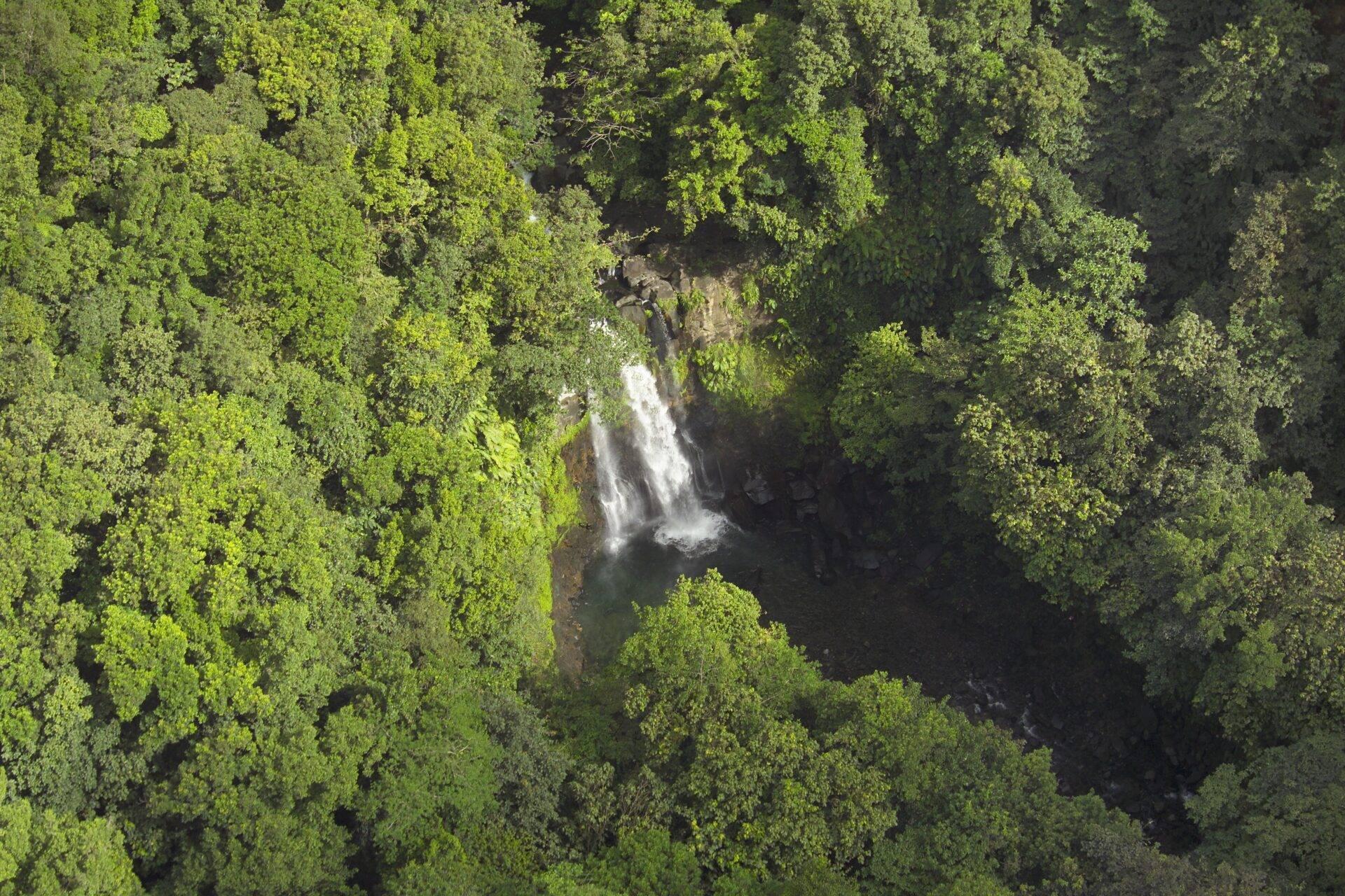Ein weißer Wasserfall stürzt durch einen dichten, üppig grünen Tropenwald