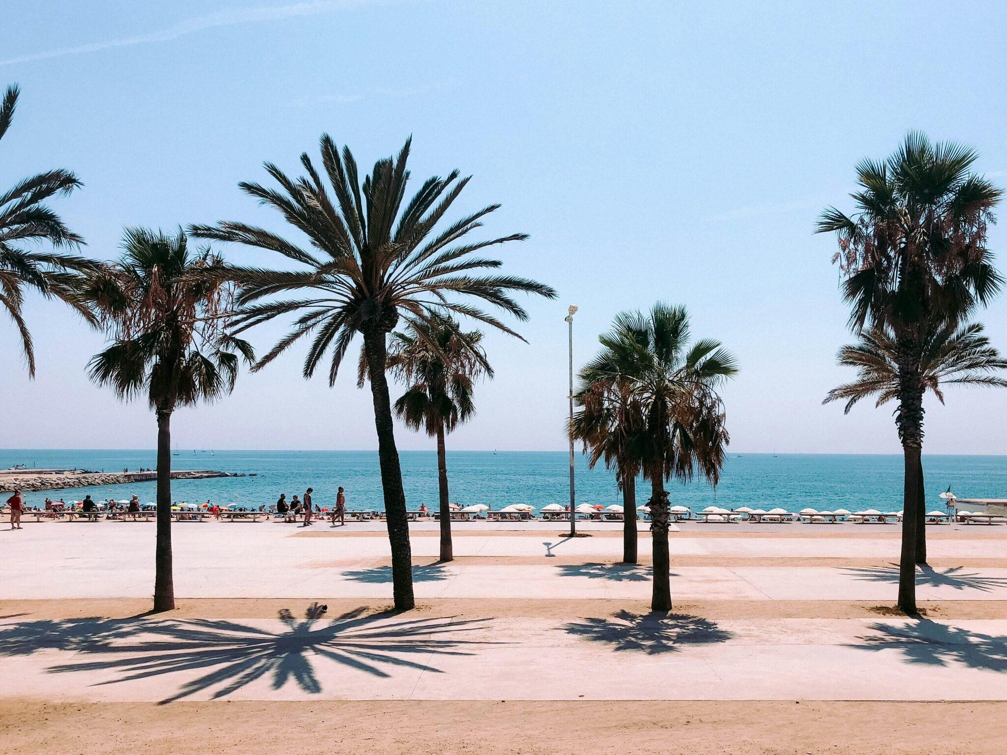 Playa mediterránea con palmeras, paseo marítimo y bañistas bajo un cielo azul despejado
