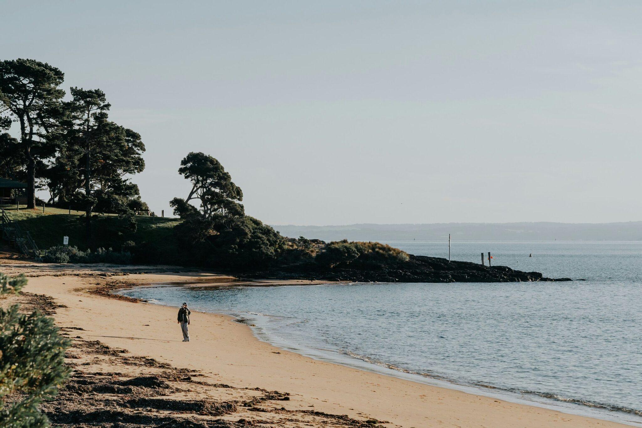 Un paseante solitario camina por una playa de arena fina bordeada de acantilados arbolados y rocas, frente a un mar en calma