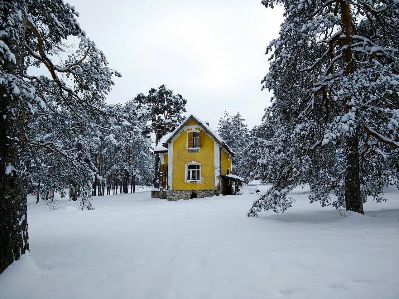 Ein kleines gelbes Haus in einem verschneiten Wald, umgeben von schneebedeckten Tannen