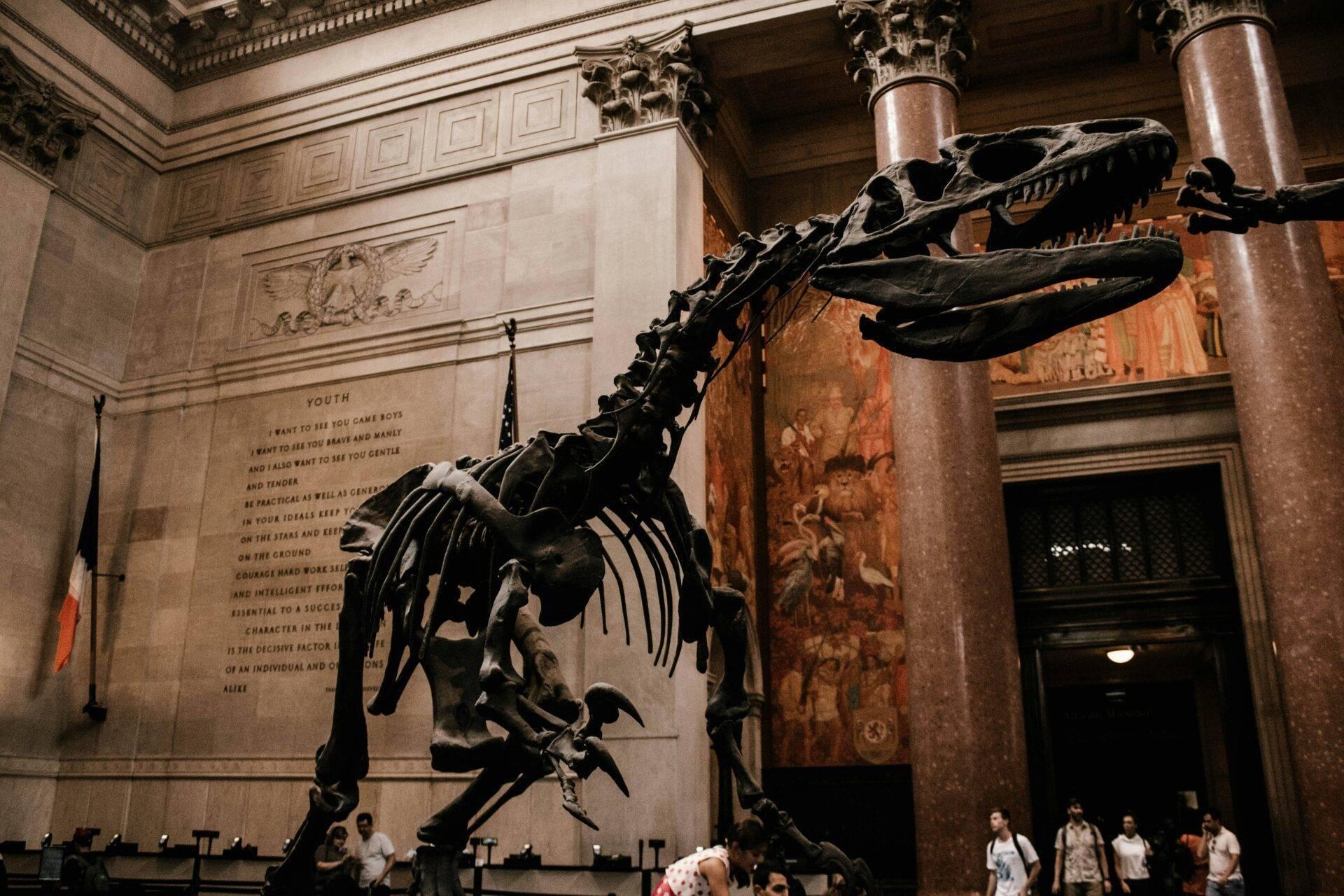 Scheletro di dinosauro montato in un museo con colonne classiche e visitatori che osservano l’esposizione