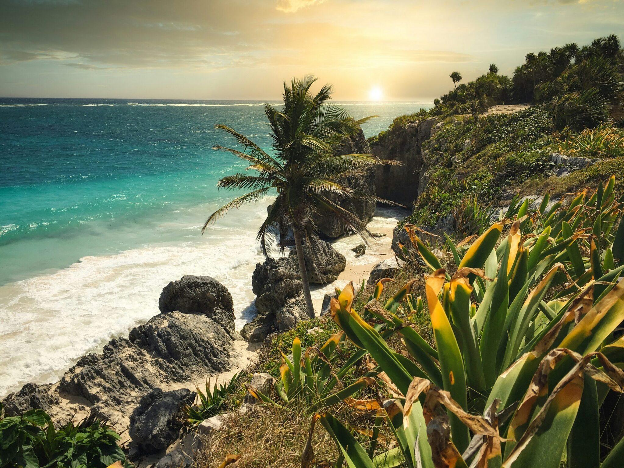 Falesia costiera tropicale con spiaggia turchese, palme e vegetazione lussureggiante al tramonto