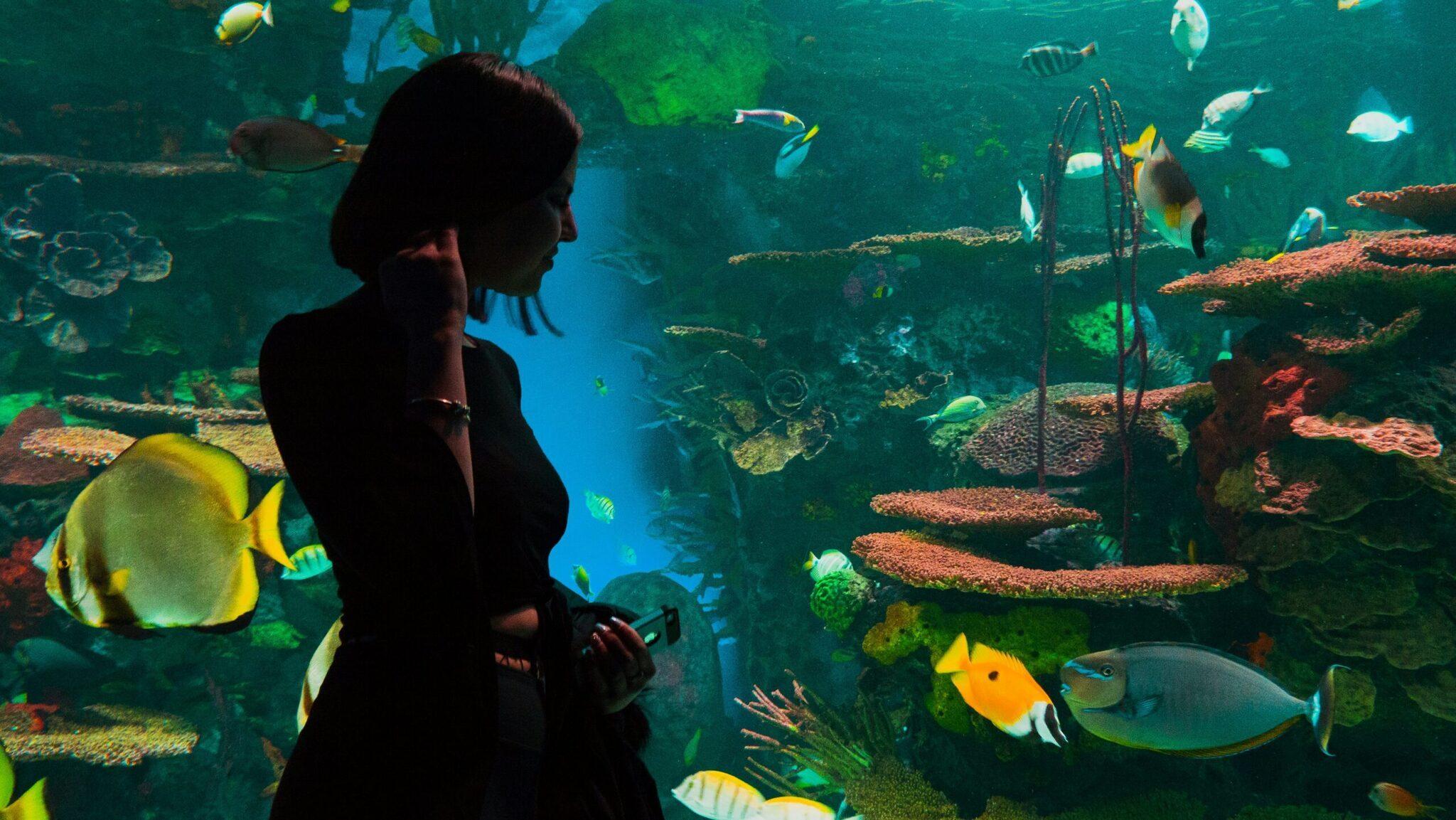 Una donna osserva un acquario con pesci colorati e coralli in una vasca sotterranea illuminata