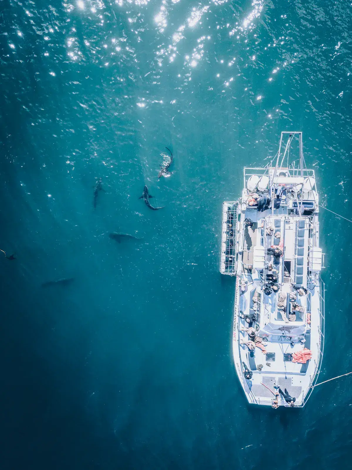 Vista aérea de un barco de buceo blanco con buceadores en el mar turquesa cristalino