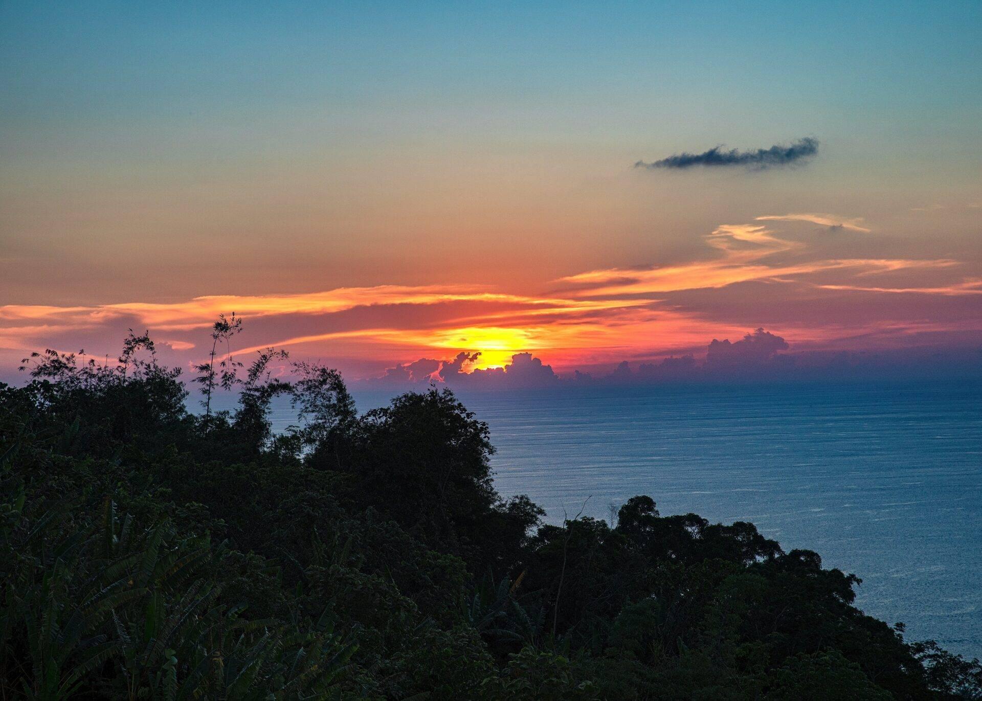 Atardecer espectacular sobre el mar con vegetación tropical en primer plano y cielo de colores al fondo