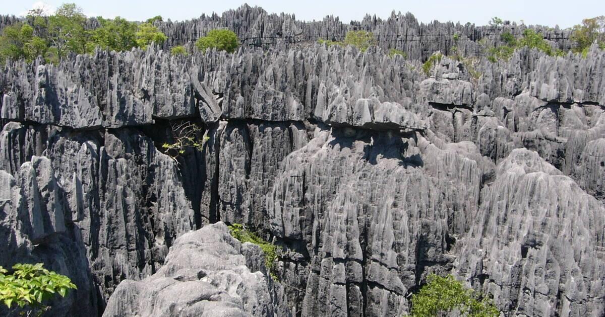 Foresta di calcare grigio con formazioni rocciose aguzze e rada vegetazione verde sotto cielo sereno