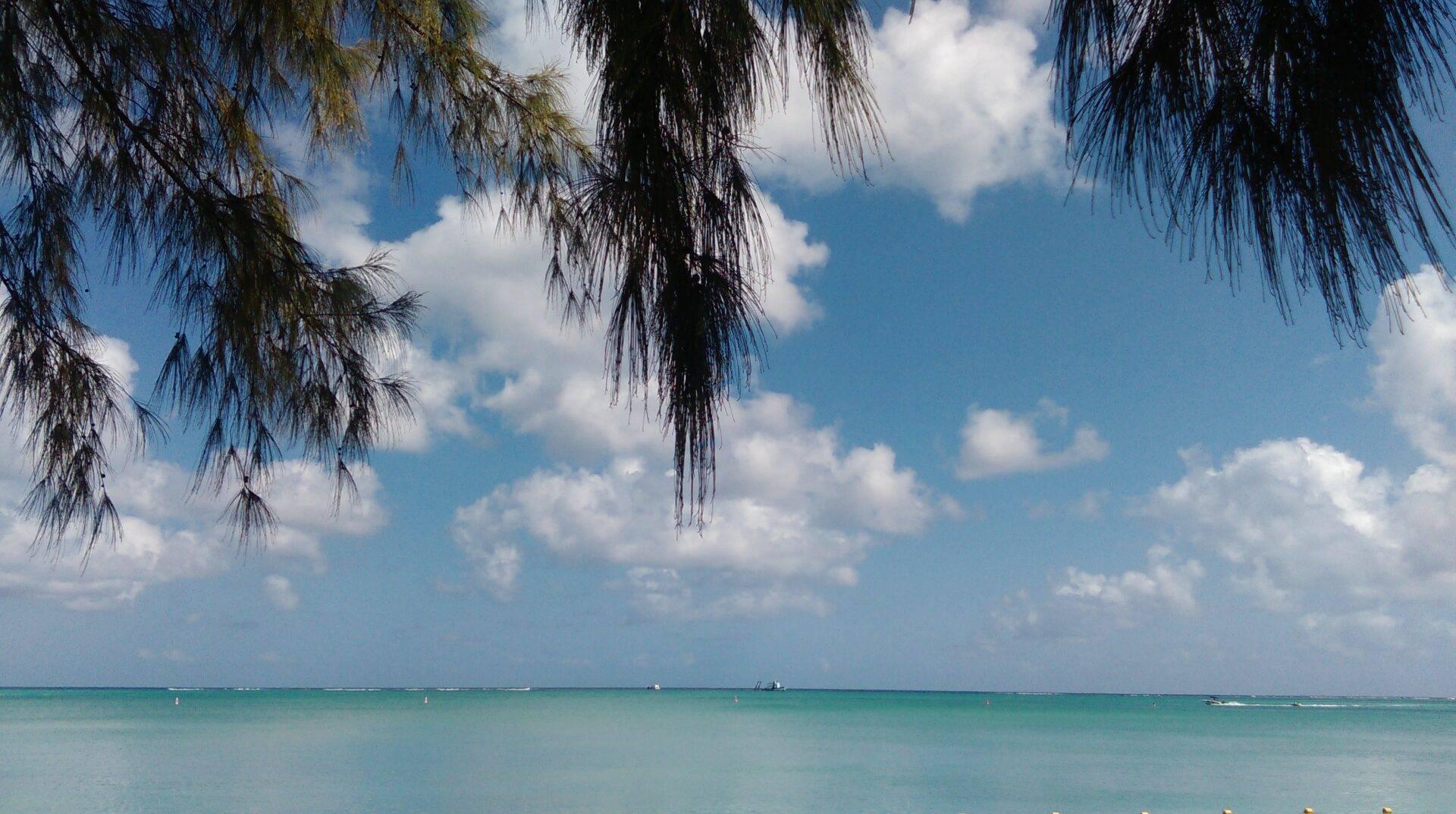 Playa tropical con aguas turquesas, árboles de ramas colgantes y cielo nublado, imagen serena de laguna ideal