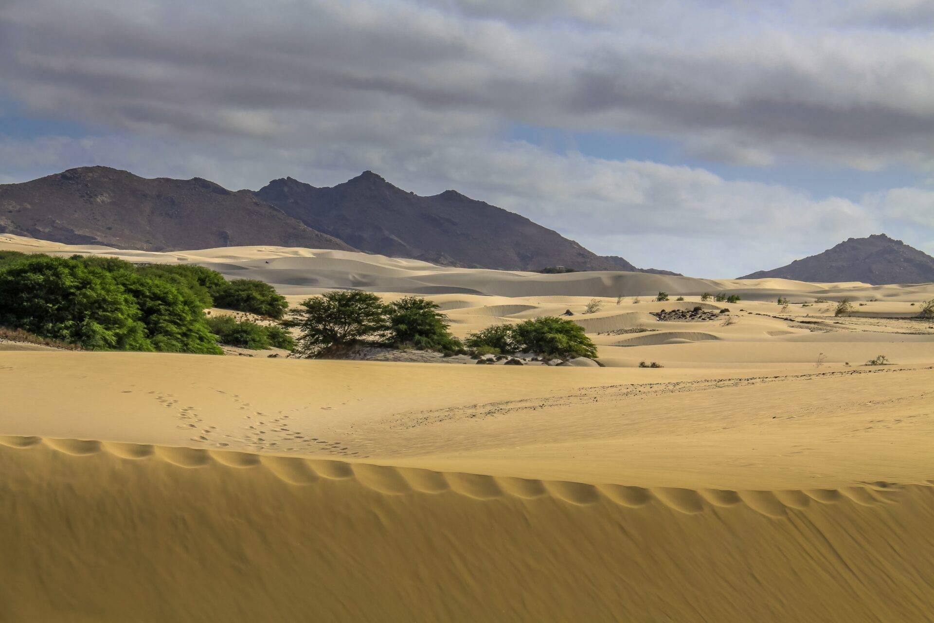 Desert sand dunes with green vegetation and volcanic mountains in the background under a cloudy sky