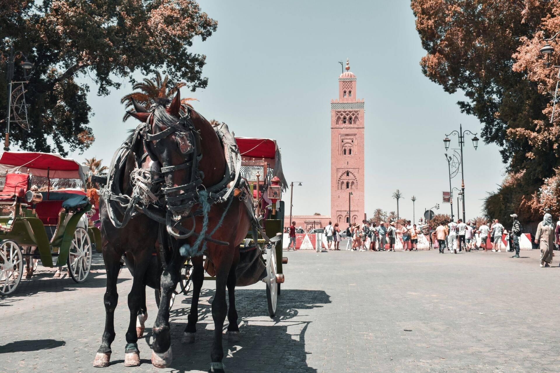 Un coche de caballos atraviesa una plaza animada con una mezquita de muros rosas al fondo