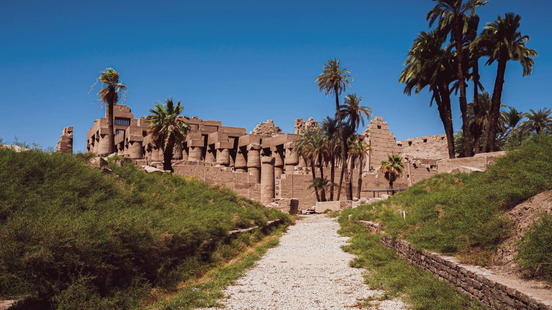Rovine di un antico tempio egizio in arenaria con colonne massicce e palme sotto un cielo limpido