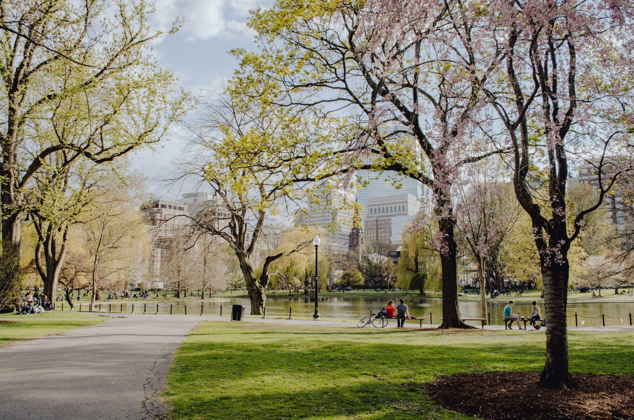Stadtpark im Frühling mit blühenden Bäumen, einem See und Wolkenkratzern im Hintergrund