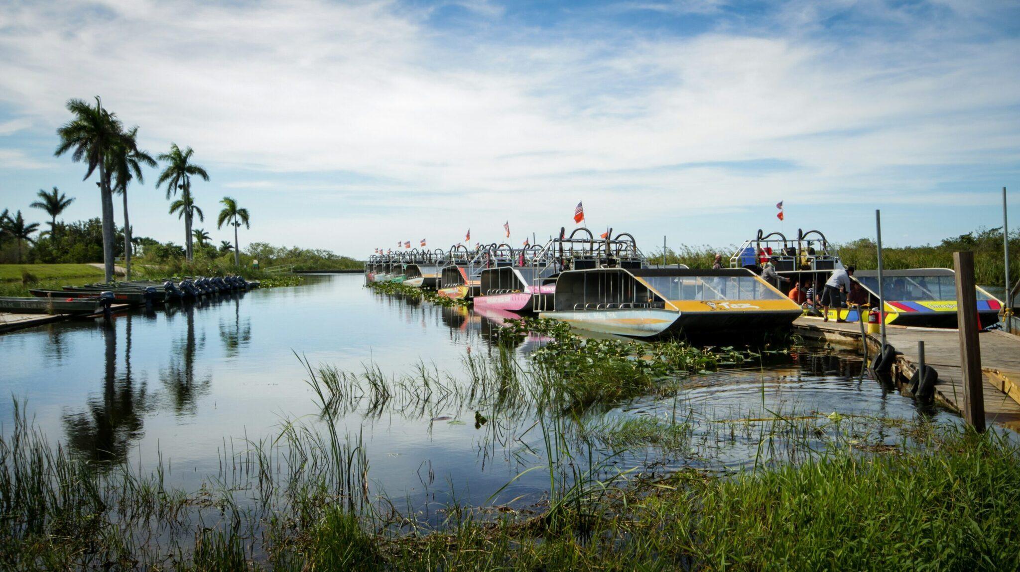 Colourful airboats moored on an Everglades canal lined with mangroves and lush vegetation