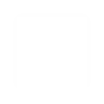 TikTok icon