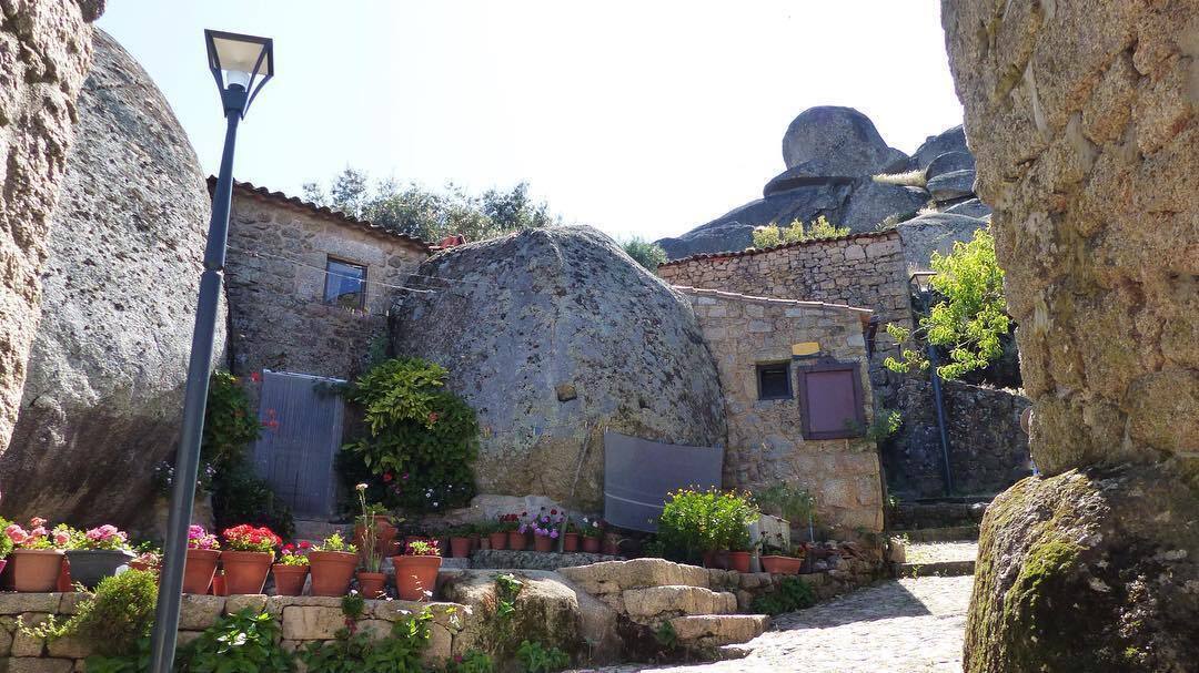 103070542_707707200046020_387412982971733829_n