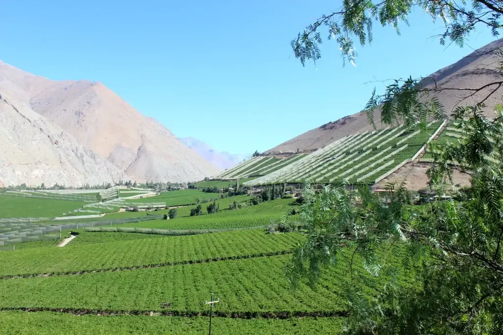 La vallée de l'Elqui La vallée de l'Elqui