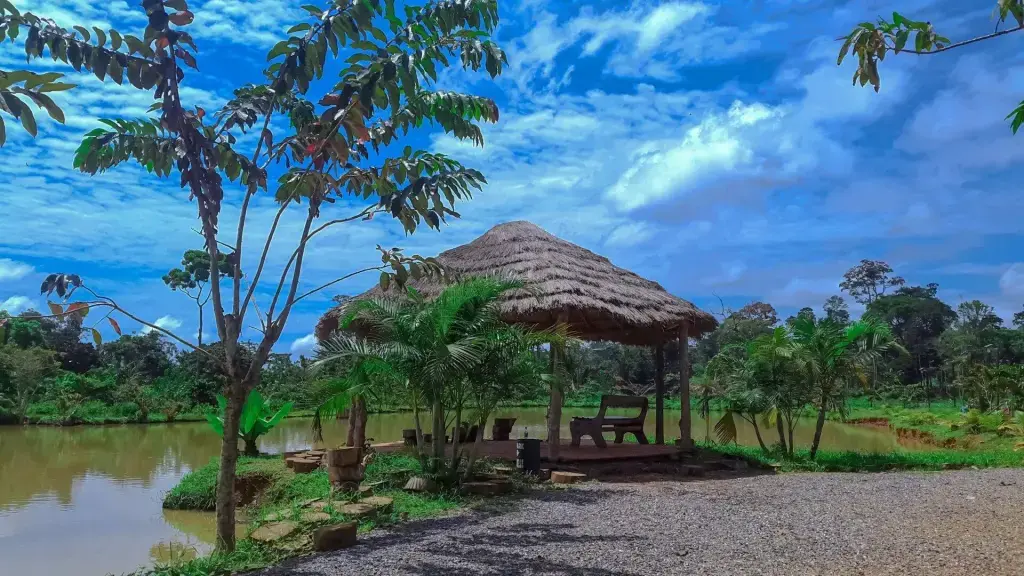 ariel-nathan-ada-mbita-TdwJW7L5DXg-unsplash