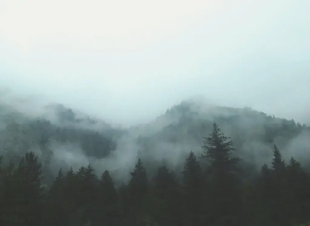 inggrid-koe-kbKEuU-YEIw-unsplash