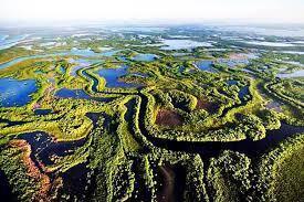 Cuba Ciénaga de Zapata Cuba Ciénaga de Zapata