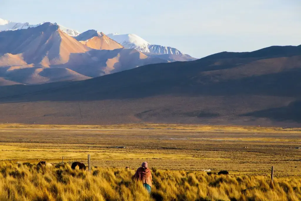 clement-gentilini-hZYe2_yK7Ic-unsplash