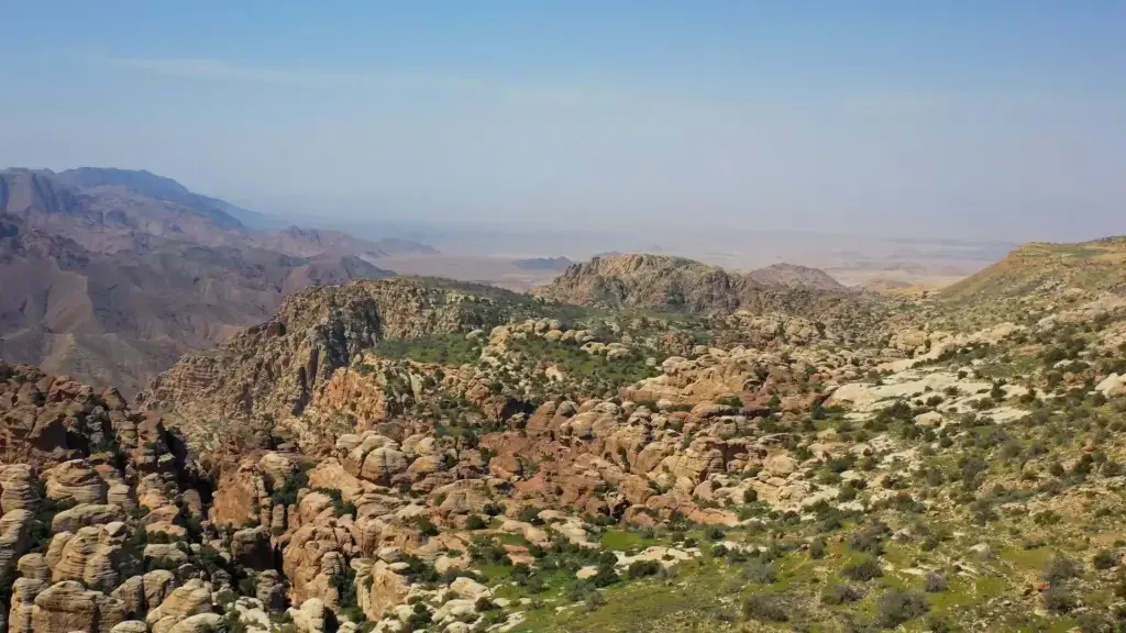 daniel-qura-ROnycwwlPV0-unsplash