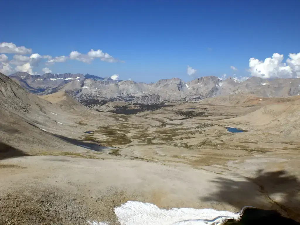 diggity-dog-C2lg2JdCfOA-unsplash