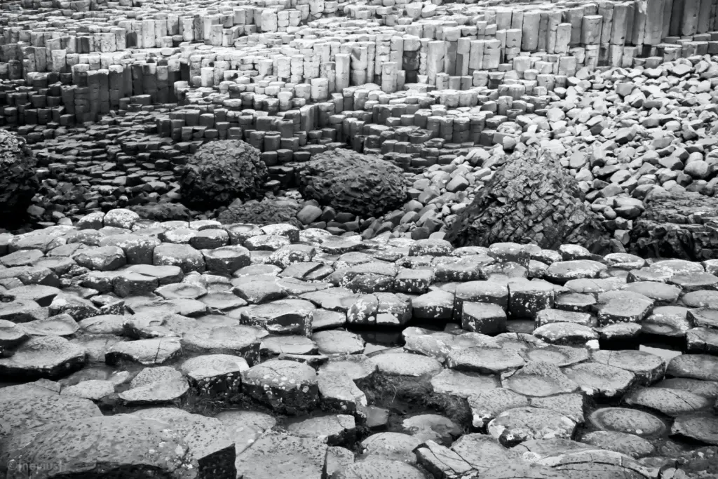 joel-nevius-YlF-IyTE6sA-unsplash