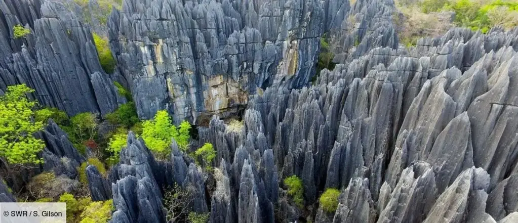 Madagascar Parc National des Tsingy de Namoroka