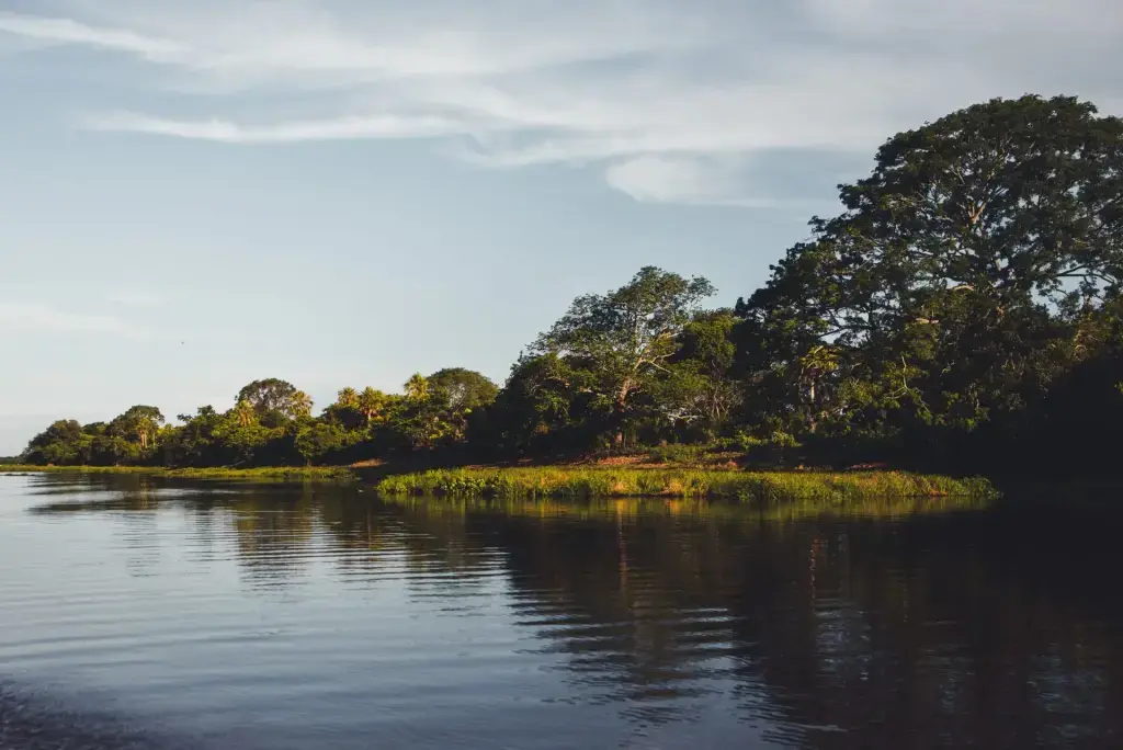 nathalia-segato-Z7qNoZ-nsJc-unsplash Brésil Pantanal