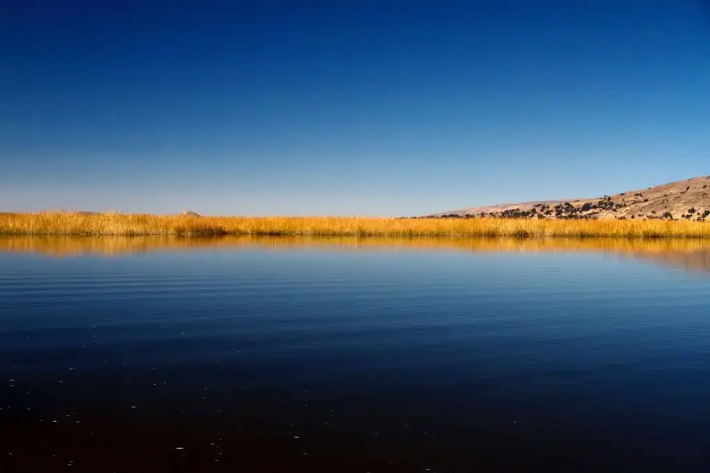 paul-summers-JbiN3xQ5efk-unsplash