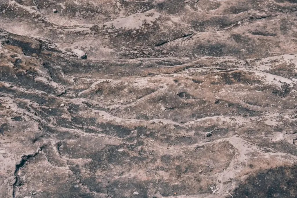 aron-fjell-HlcyW5Cy9Uk-unsplash