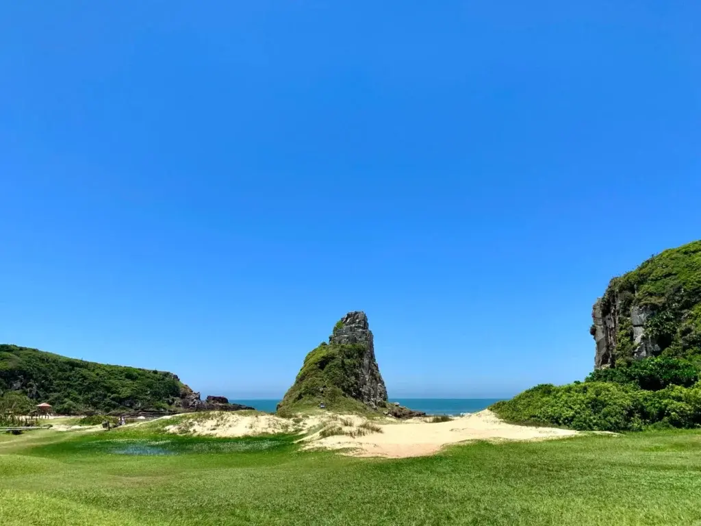 linoleum-creative-collective-nK4WOoH2258-unsplash