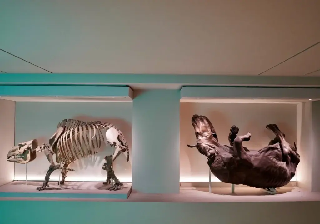 nachtmusiki-oroKiOqIB3w-unsplash