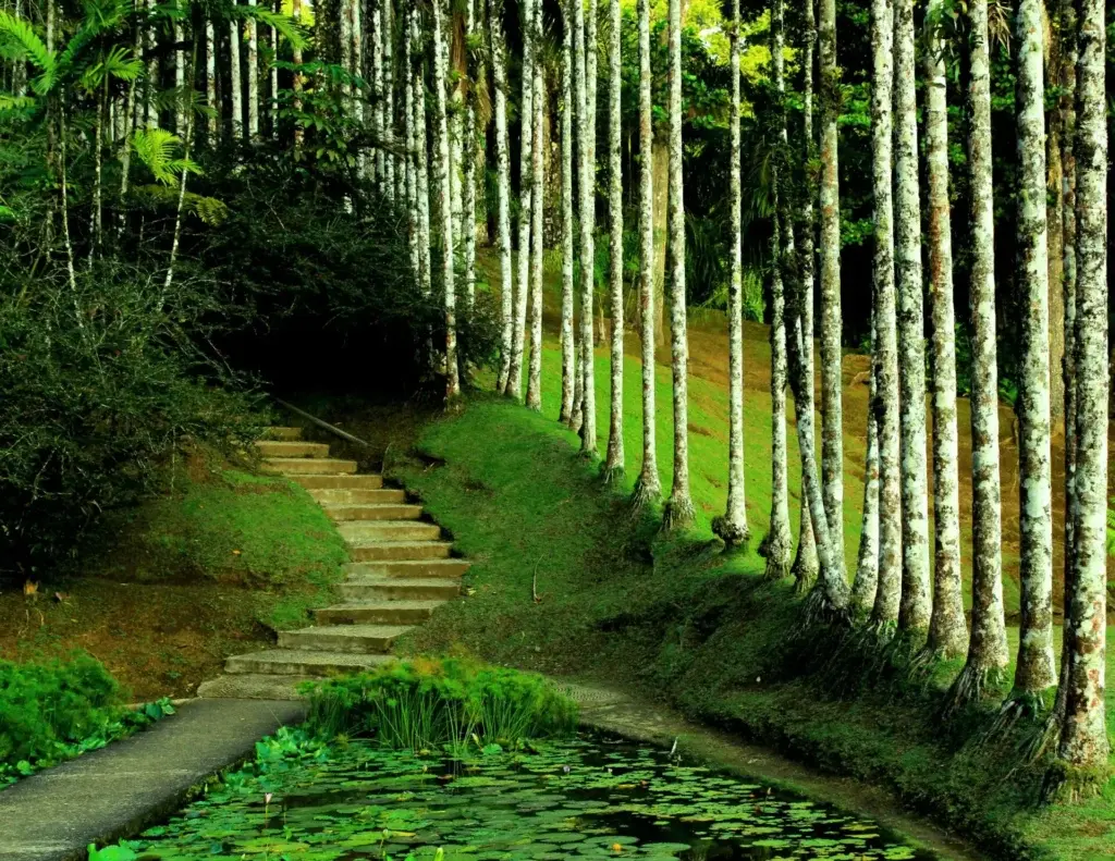 weronika-J5CwFqe5N3U-unsplash