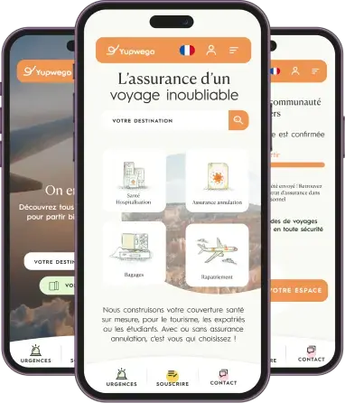 phone app phone app