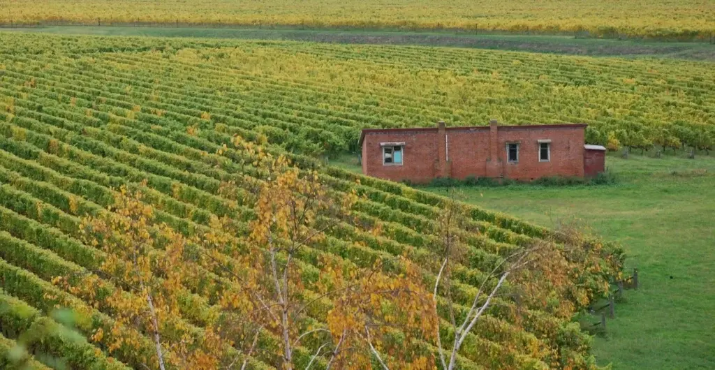 zach-kirby-X4DNeepJnAQ-unsplash