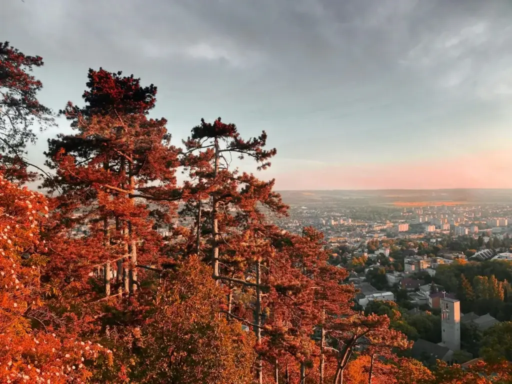 vadszeder-komqz90yevU-unsplash