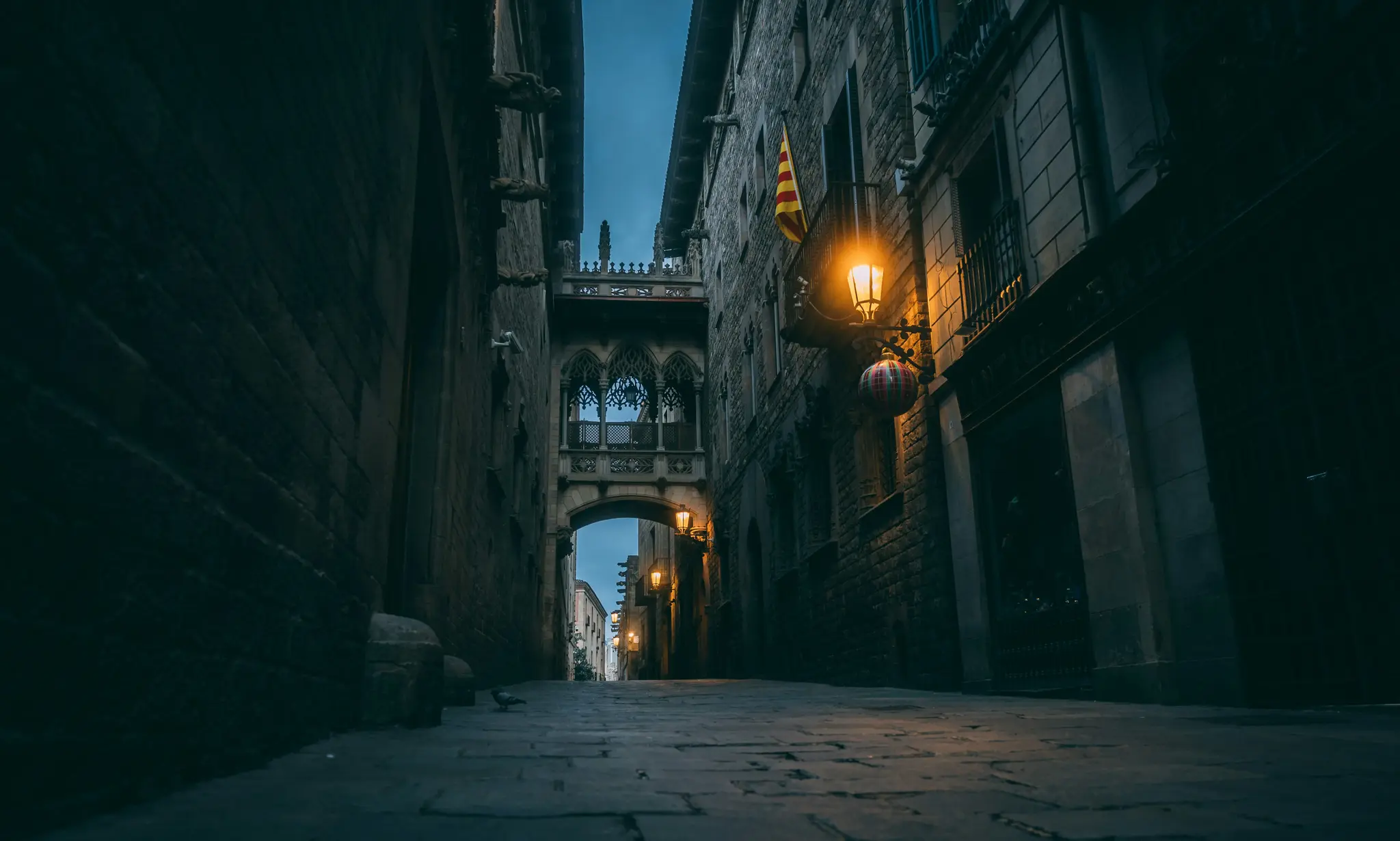 chalo-gallardo-NWyPsr6BQUQ-unsplash