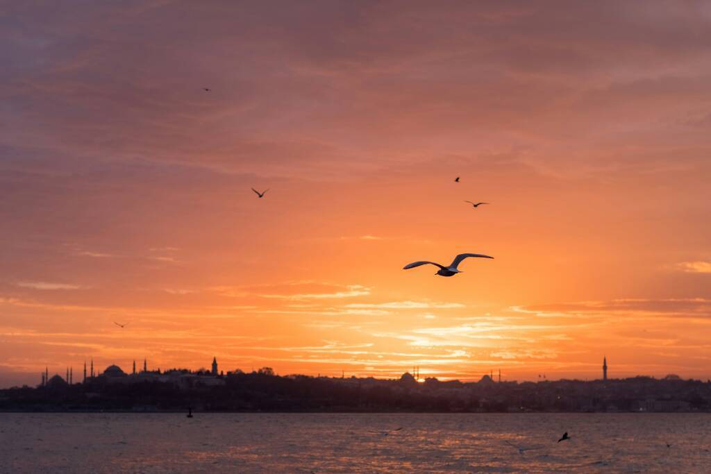 gerhard-reus-4l_nC6IoRuE-unsplash