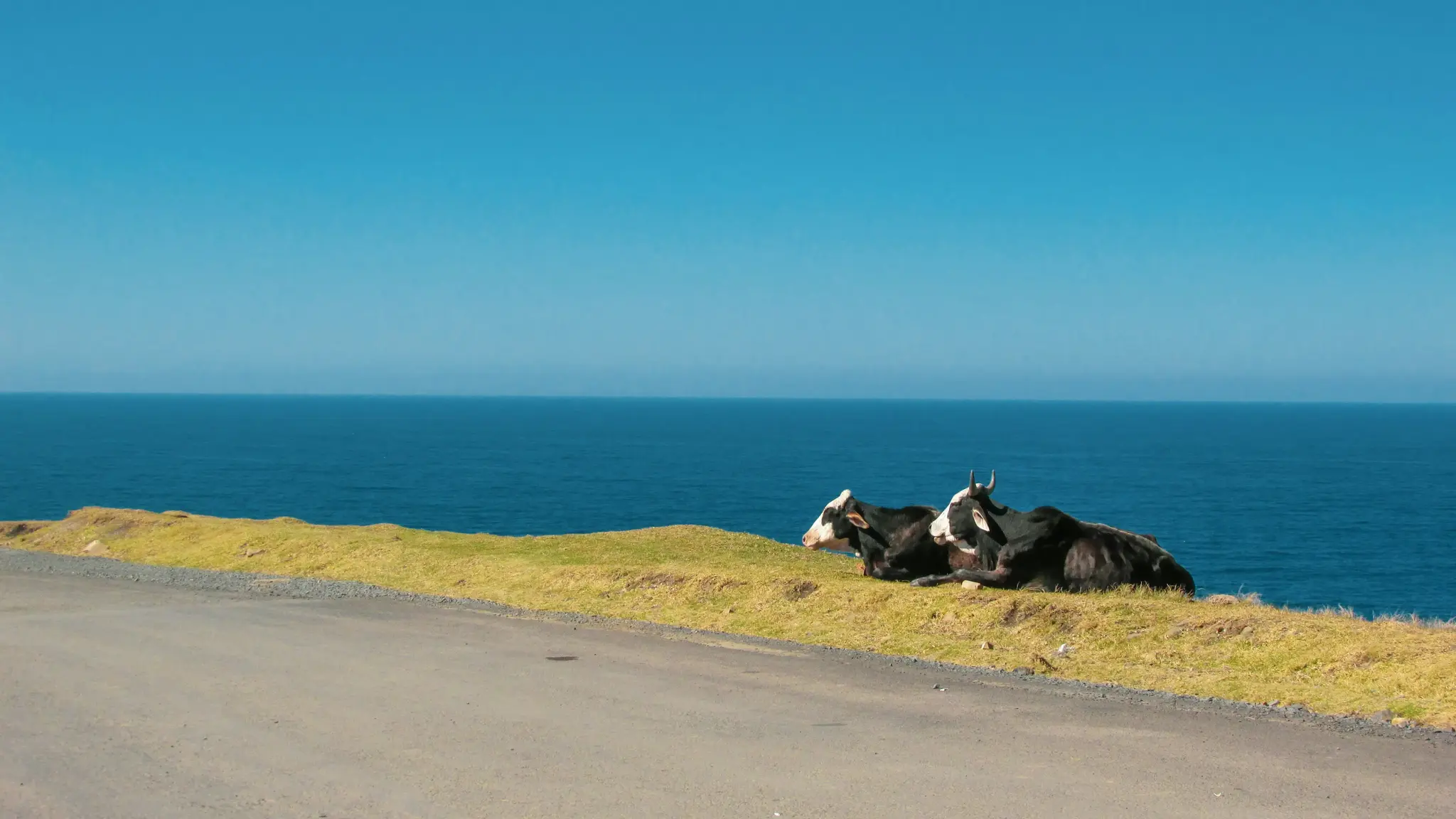 homemade-media-VzDqnuK54s4-unsplash