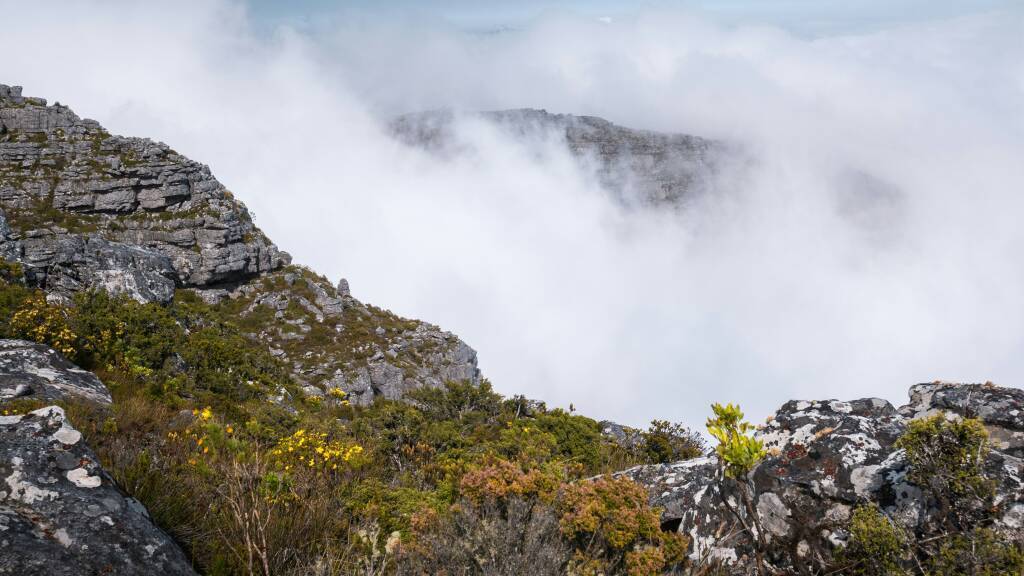 joshua-kettle-iY11fL_8bTg-unsplash