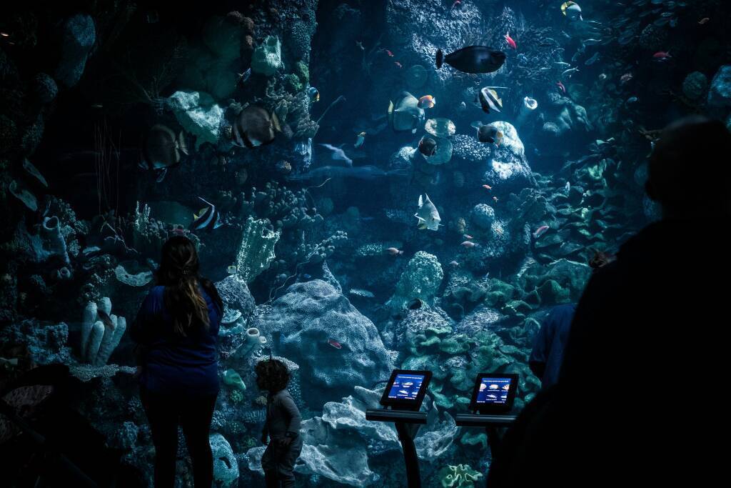 lance-anderson-_MgqHlMrRUM-unsplash