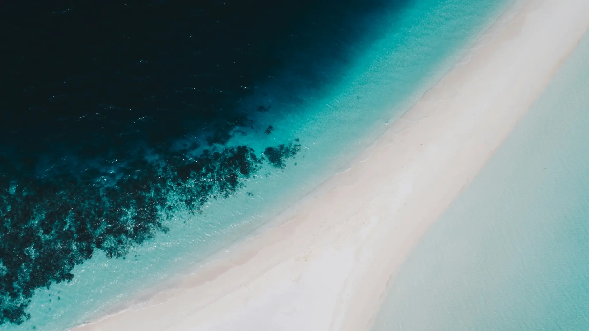 syd-sujuaan-Aeuiat1hk6U-unsplash