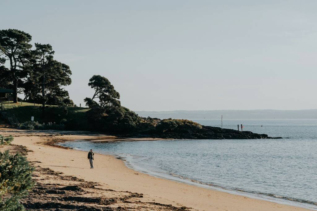 jeremy-kwok-PNmMUQsGA4I-unsplash (1)