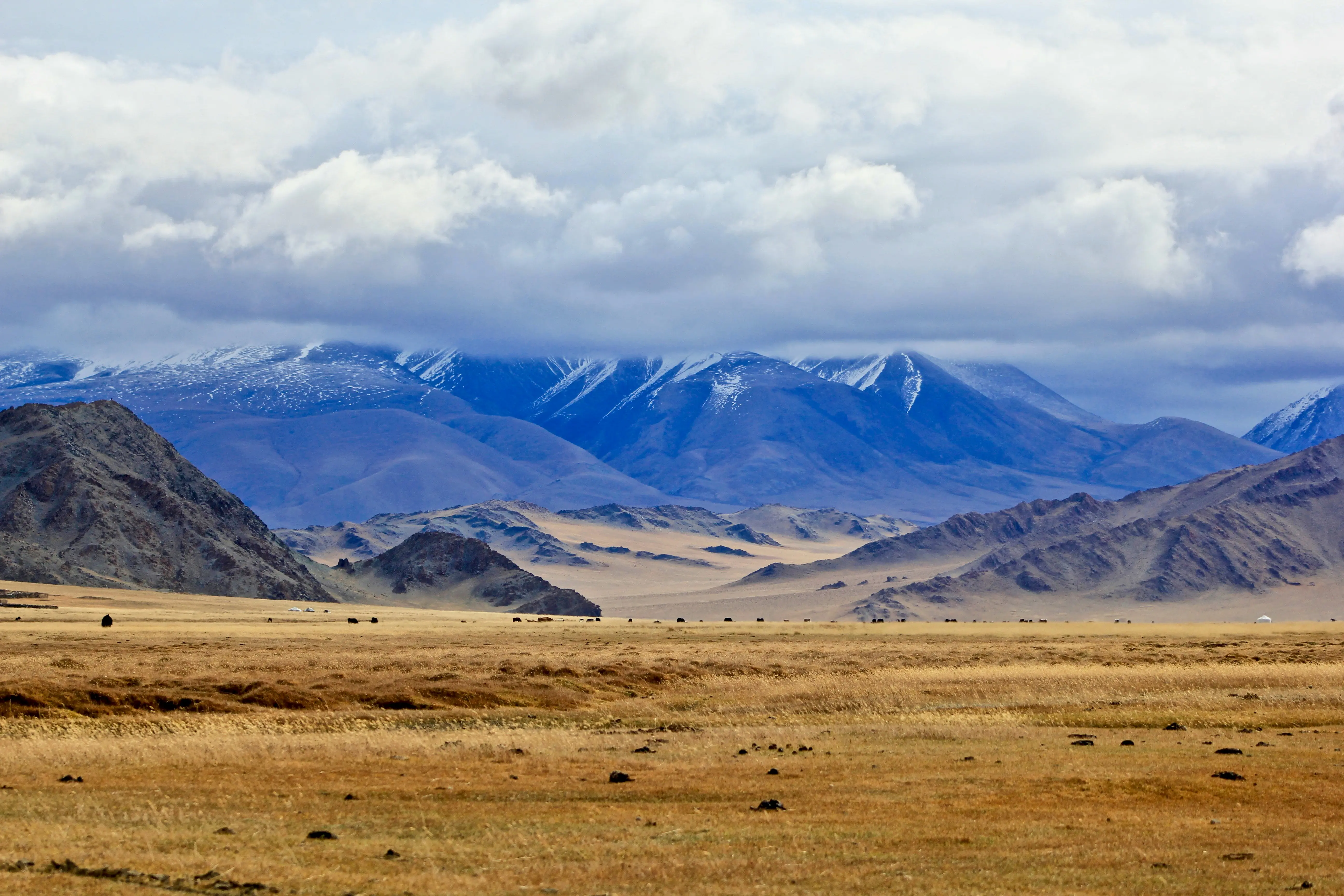 bolatbek-gabiden-dsL_tvf1Z-E-unsplash