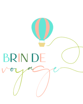 brin de voyage logo